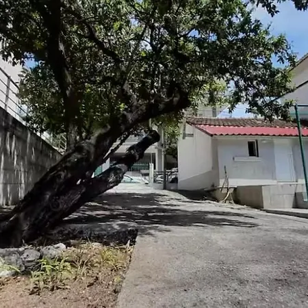 Μονοκατοικία Καλλικράτεια Hébergement de vacances Nea Kallikrateia