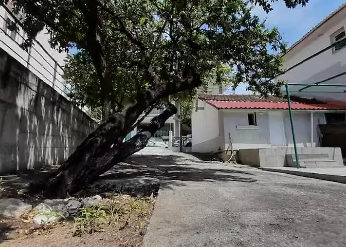 Μονοκατοικία Καλλικράτεια Casa vacanze Nea Kallikrateia